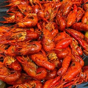 Meet your Posher, Zackery